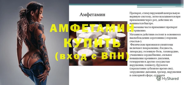 гидра Гусев