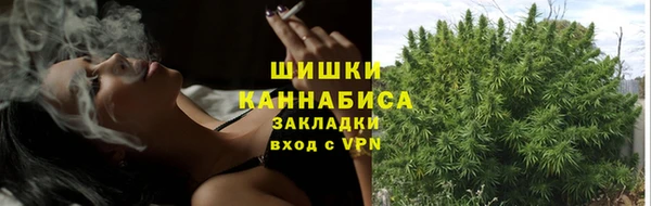 прущие крисы Гусиноозёрск