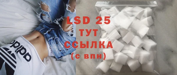 гидра Гусев