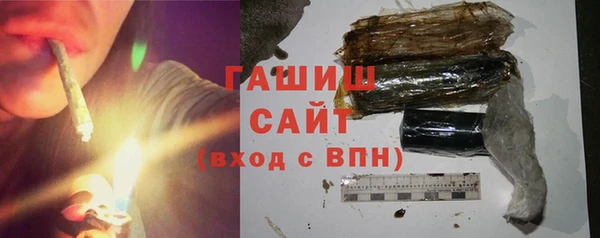 гидра Гусев
