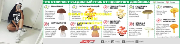 гидра Гусев