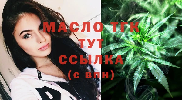 гидра Гусев