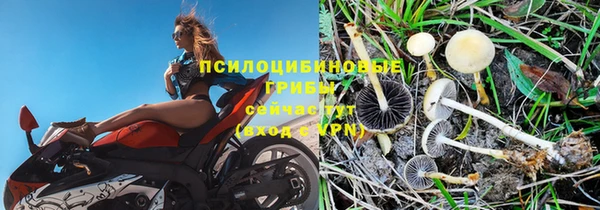 мескалин Гусь-Хрустальный