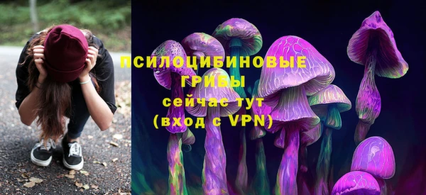 гидра Гусев