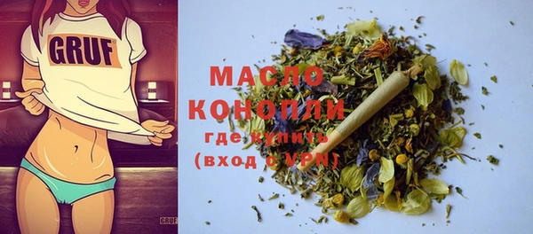 индика Горняк
