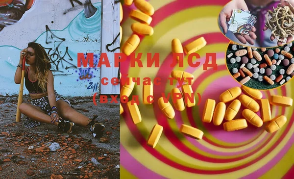 гидра Гусев