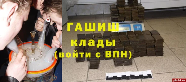 гидра Гусев
