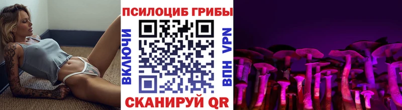 дарнет шоп Керчь Галлюциногенные грибы Psilocybe